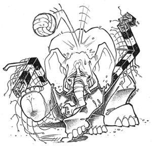 MaureHandball-Elephant 2